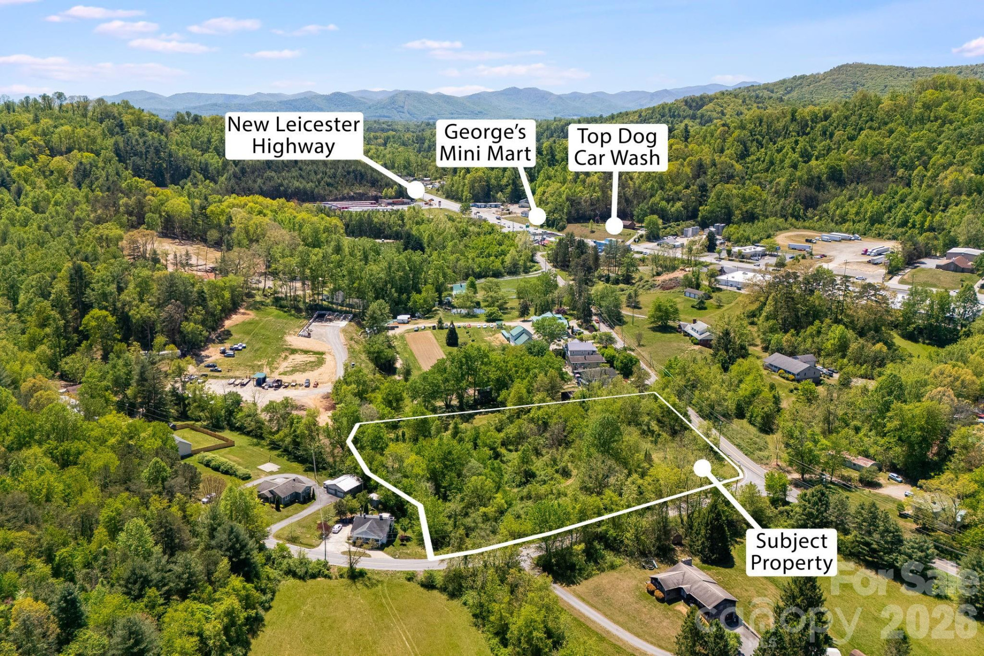 174 Ben Lippen Road - Photo 4