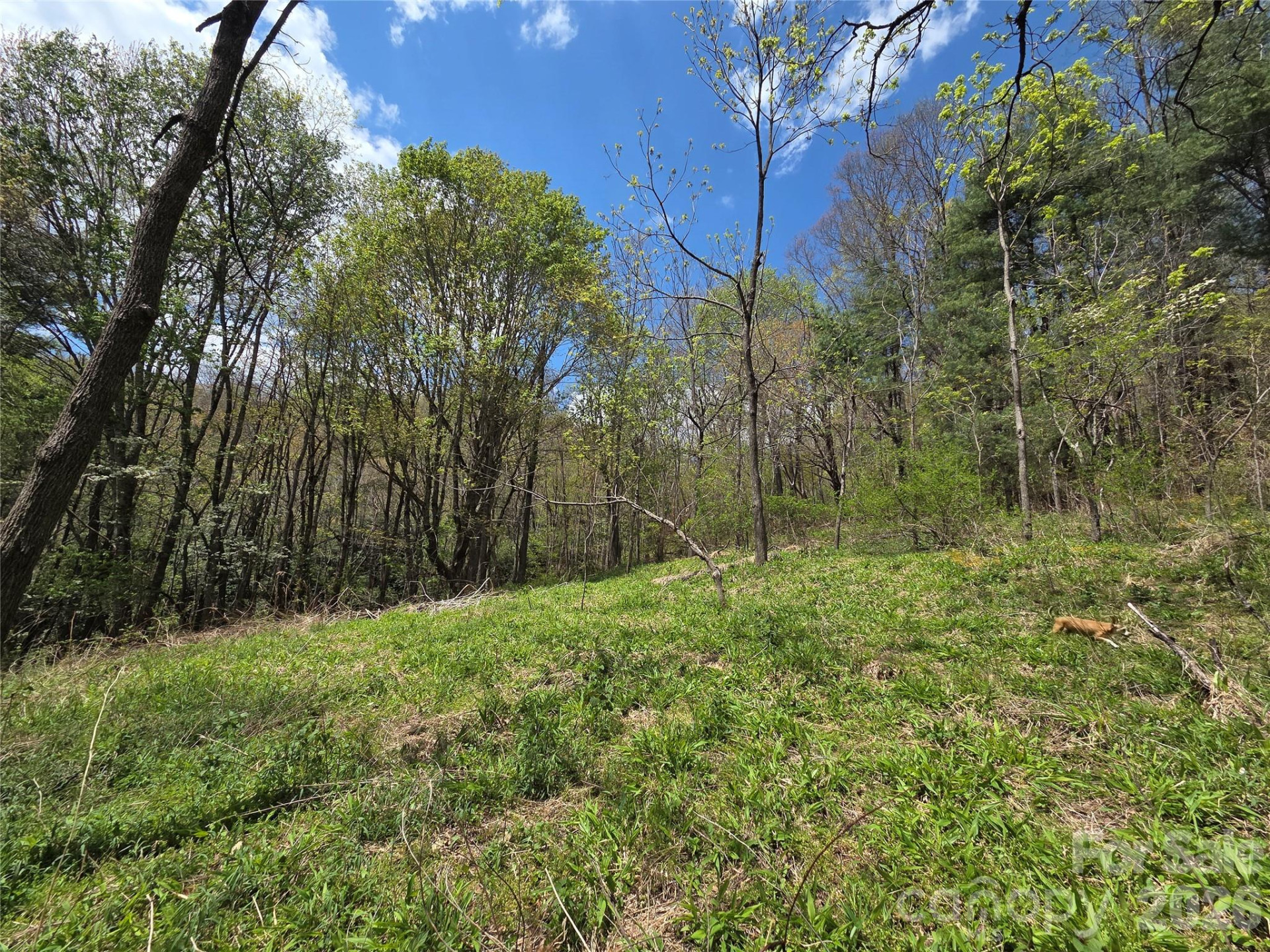 0 Robinson Creek Road