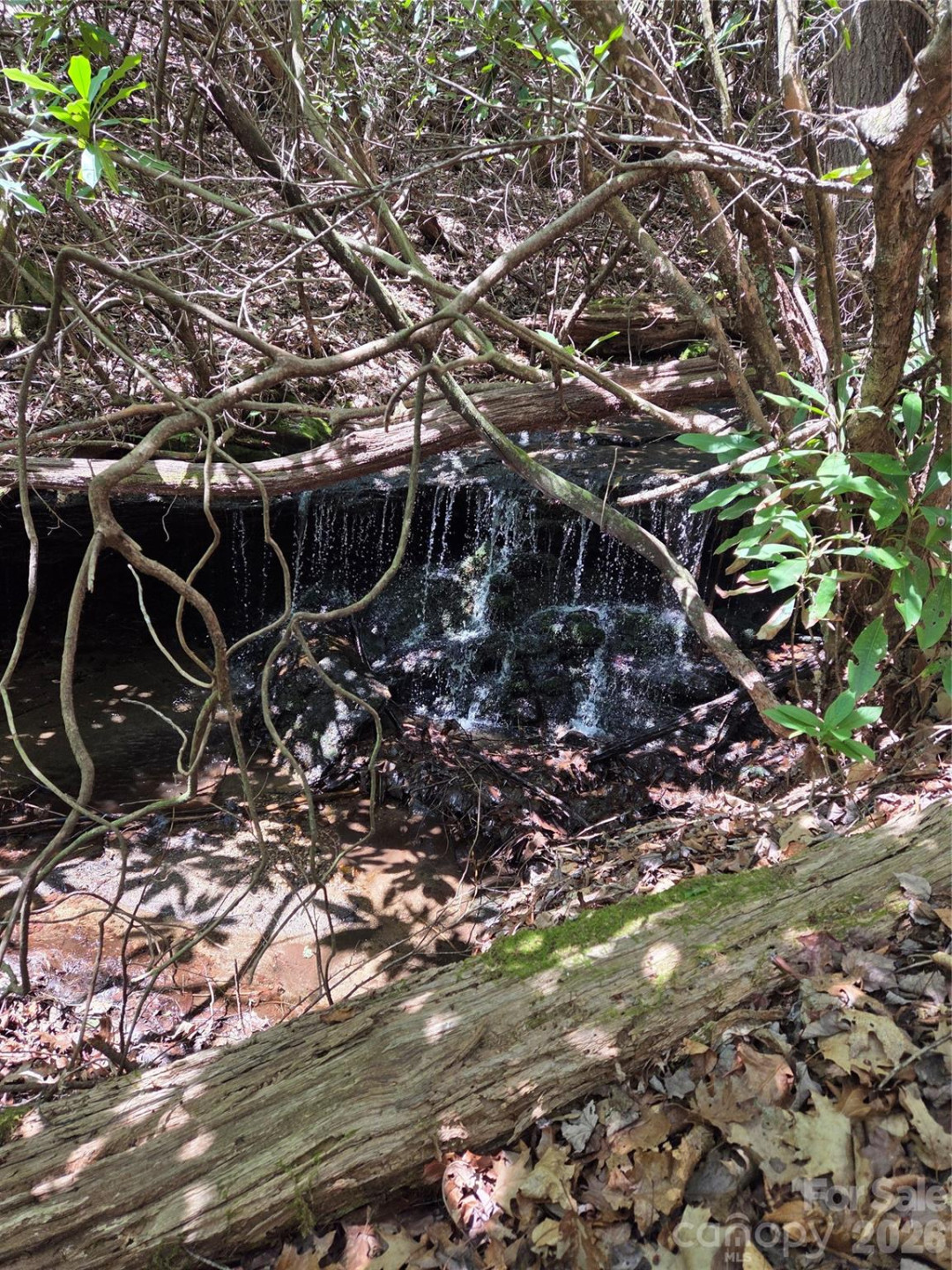 0 Robinson Creek Road - Photo 2