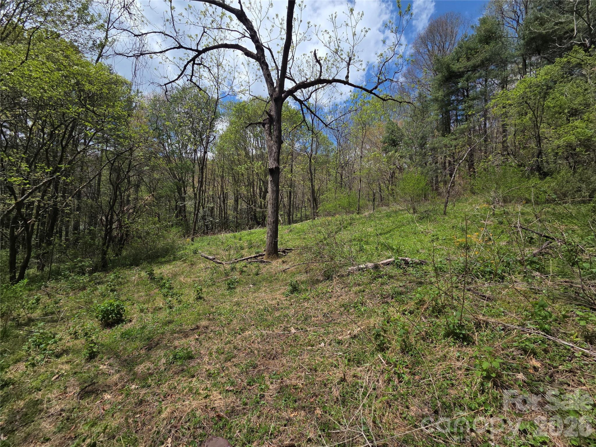 0 Robinson Creek Road - Photo 11