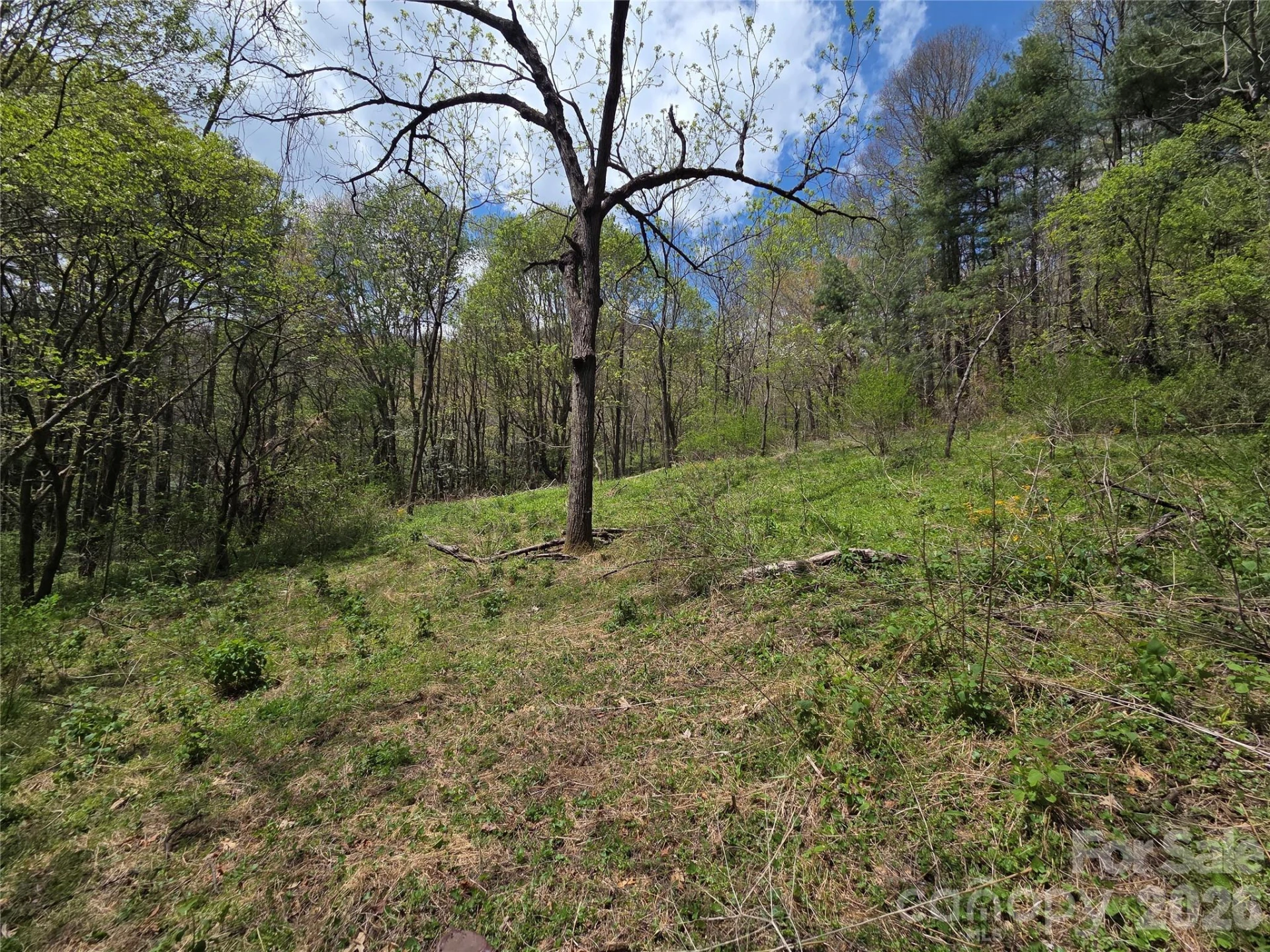 0 Robinson Creek Road - Photo 11