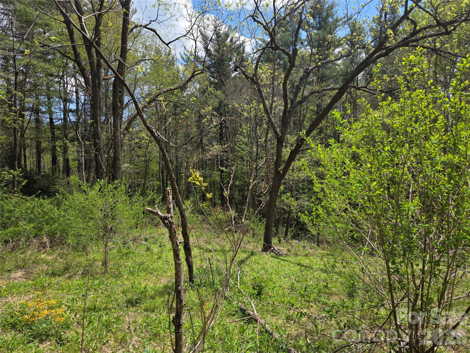 0 Robinson Creek Road - Photo 12