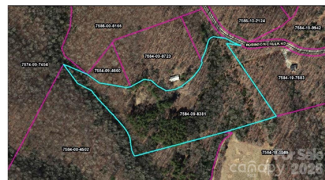 0 Robinson Creek Road - Photo 13