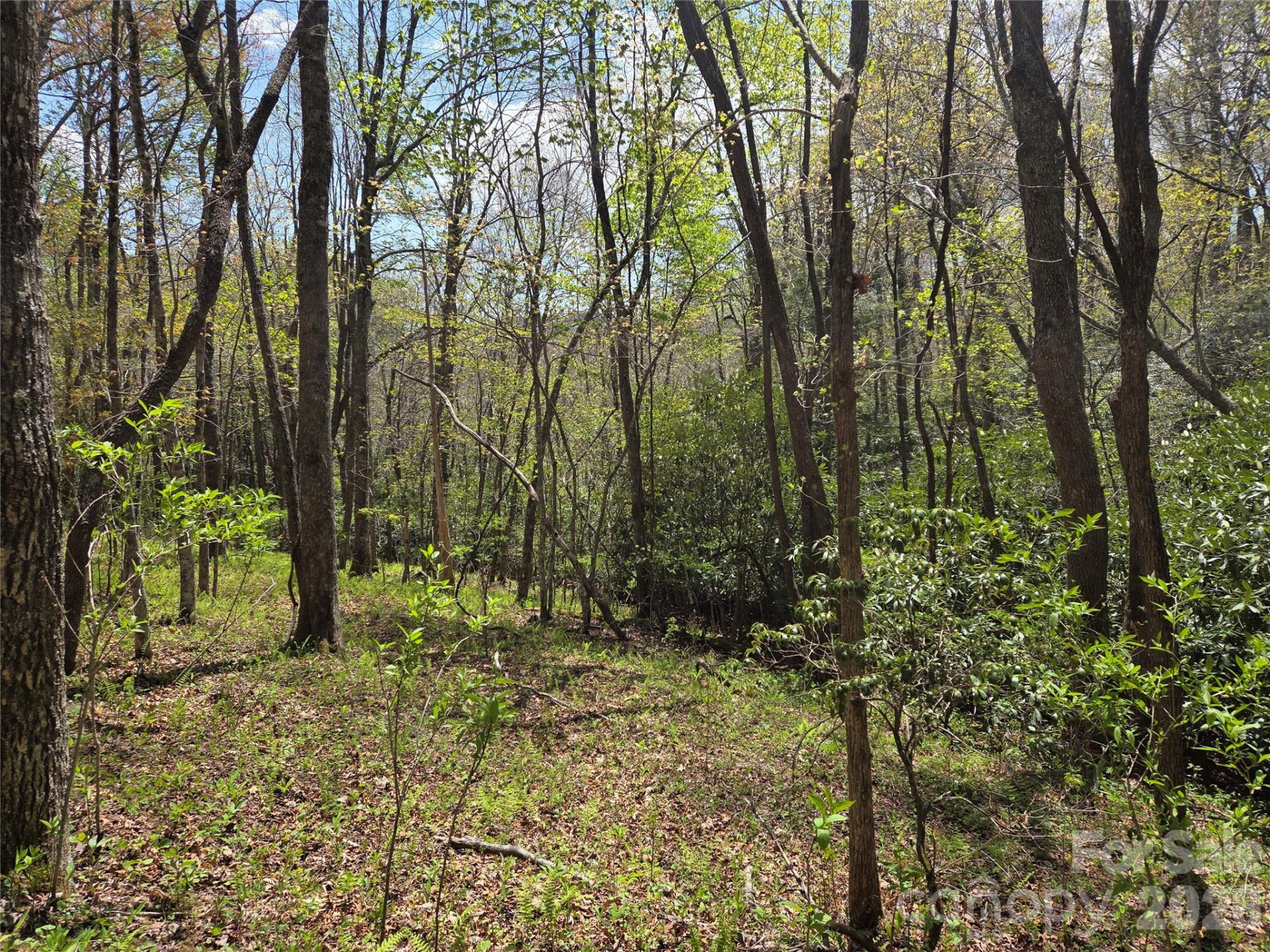 0 Robinson Creek Road - Photo 3