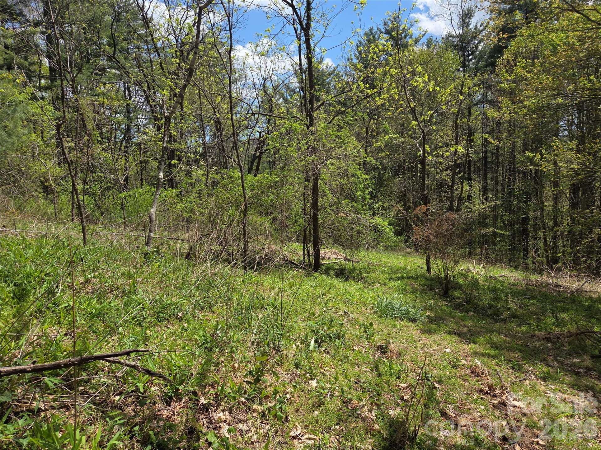 0 Robinson Creek Road - Photo 6