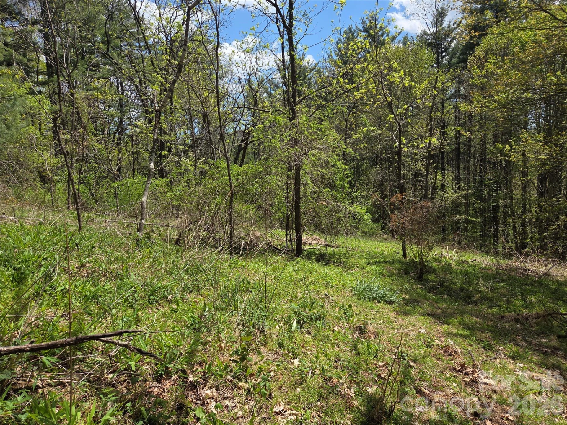 0 Robinson Creek Road - Photo 6