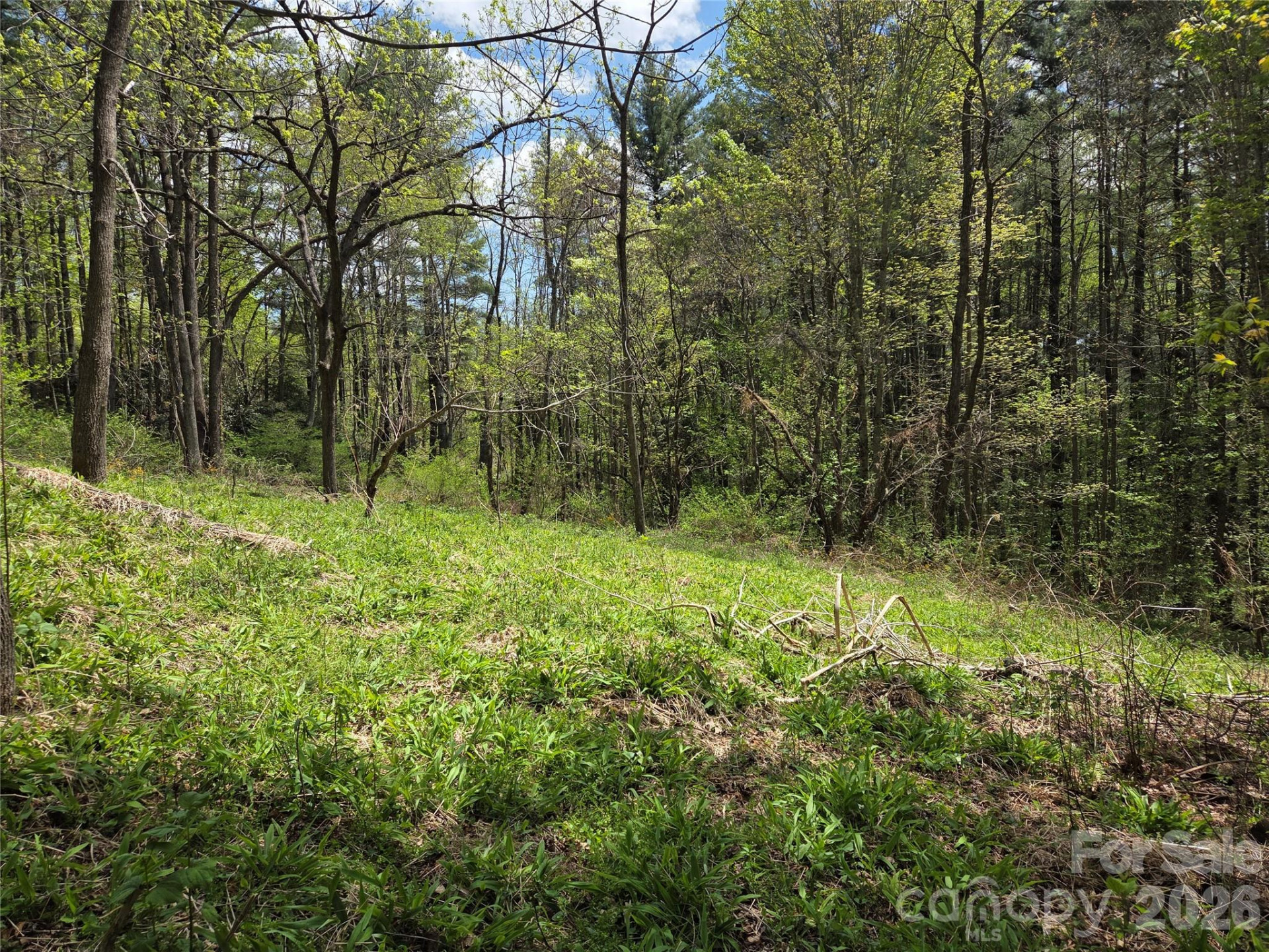 0 Robinson Creek Road - Photo 7