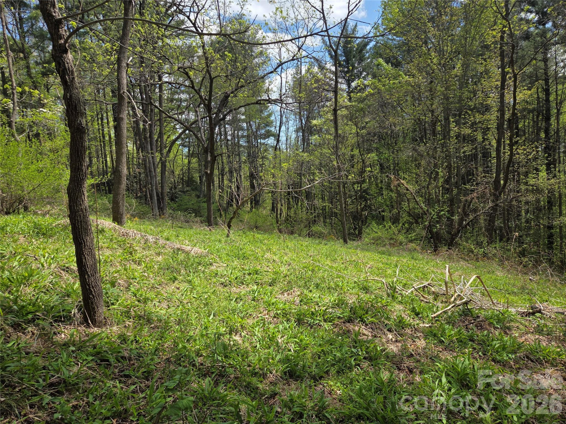 0 Robinson Creek Road - Photo 8