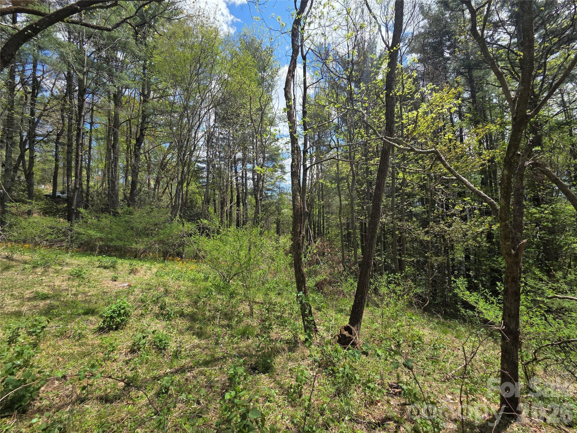 0 Robinson Creek Road - Photo 9