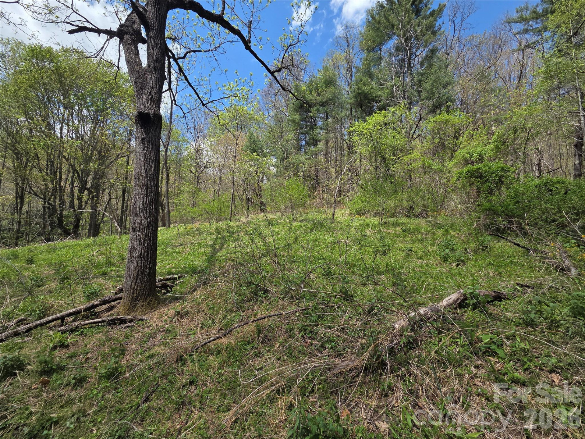 0 Robinson Creek Road - Photo 10