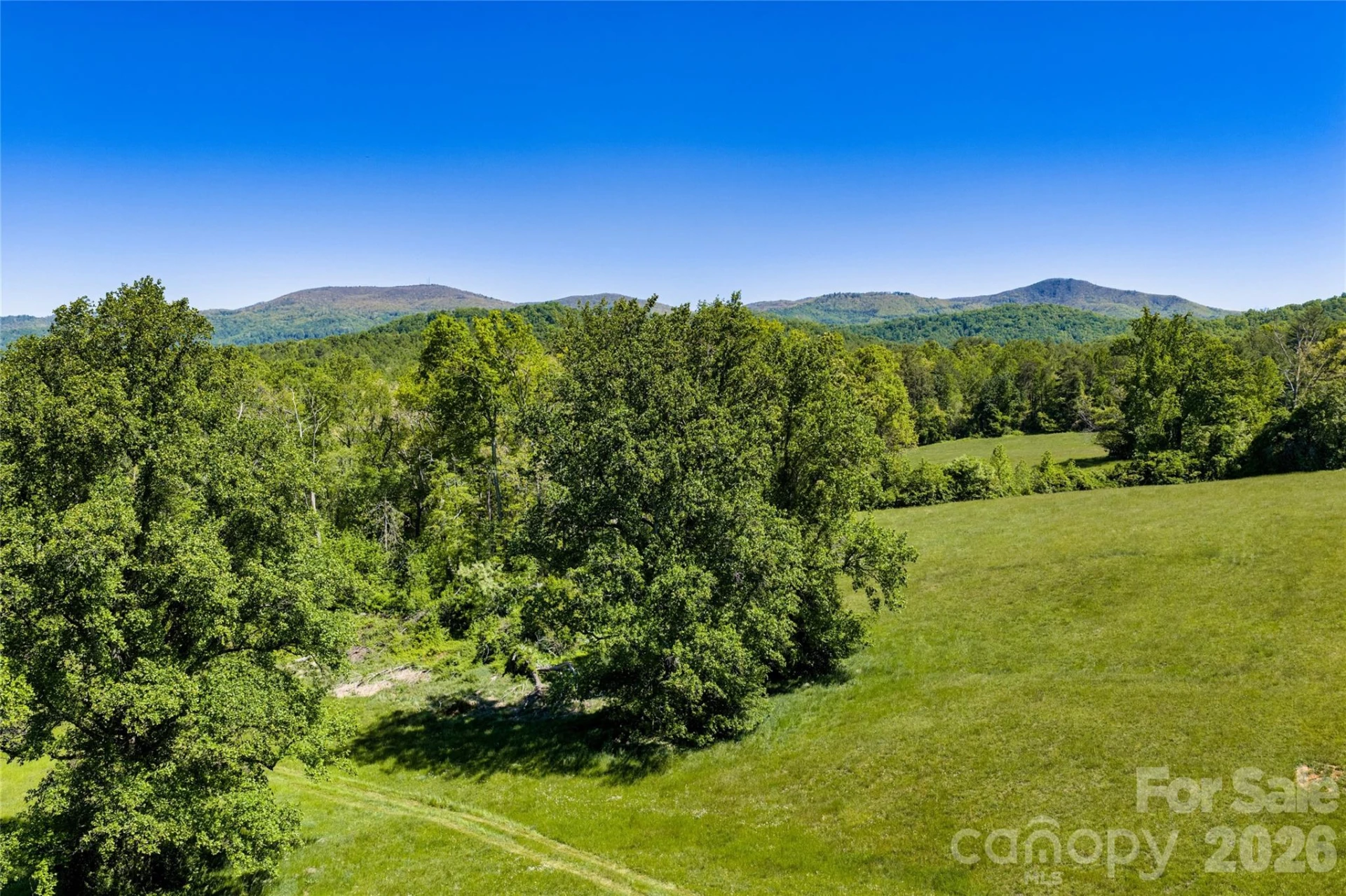 99999 Sugar Hollow Road - Photo 5