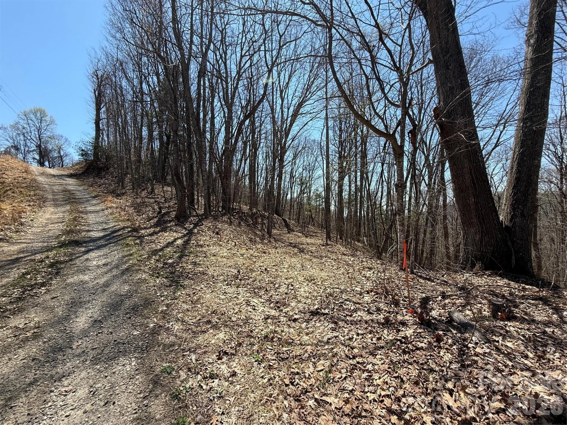 000 Granny Shepherd Road #Lot 2 - Photo 2