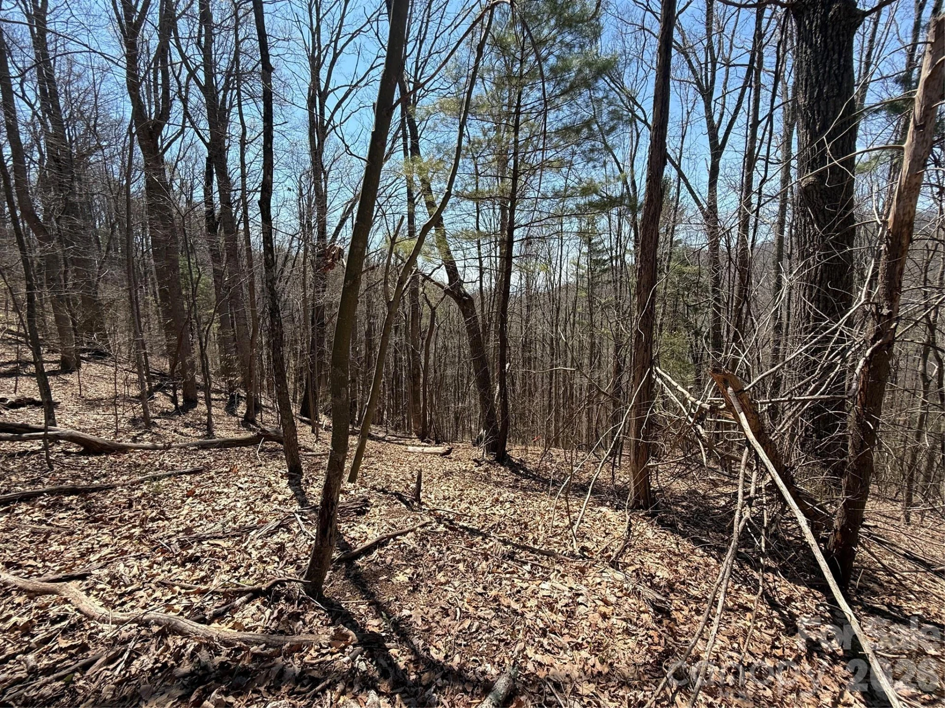 000 Granny Shepherd Road #Lot 2 - Photo 5