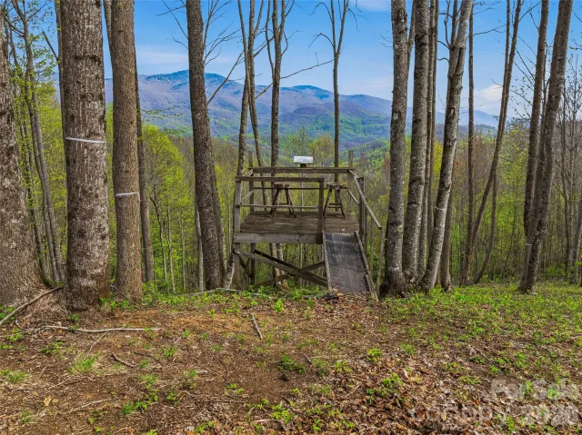#227 Flying Dutchman Road, Sylva, NC, 28779