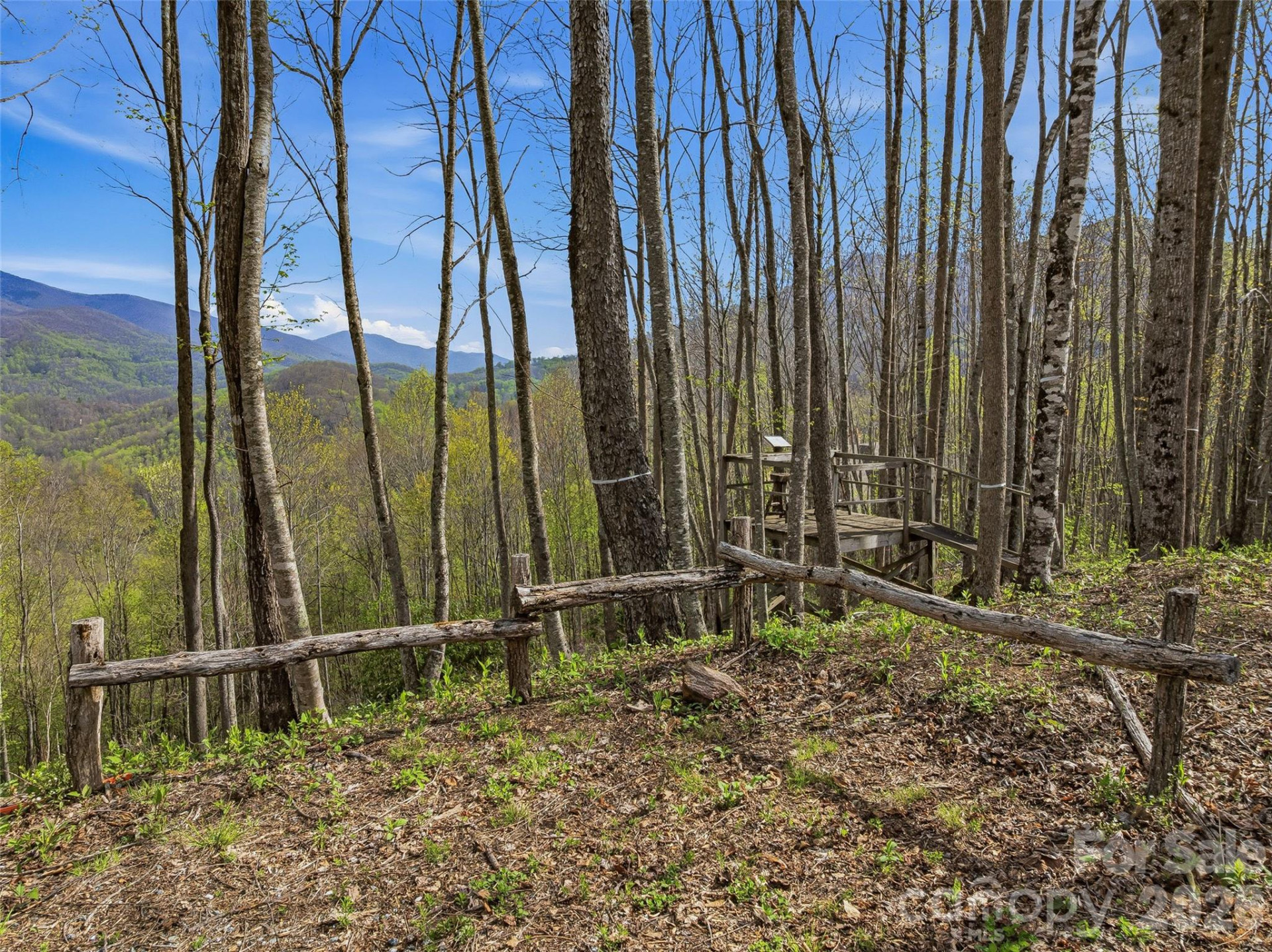 #227 Flying Dutchman Road - Photo 11