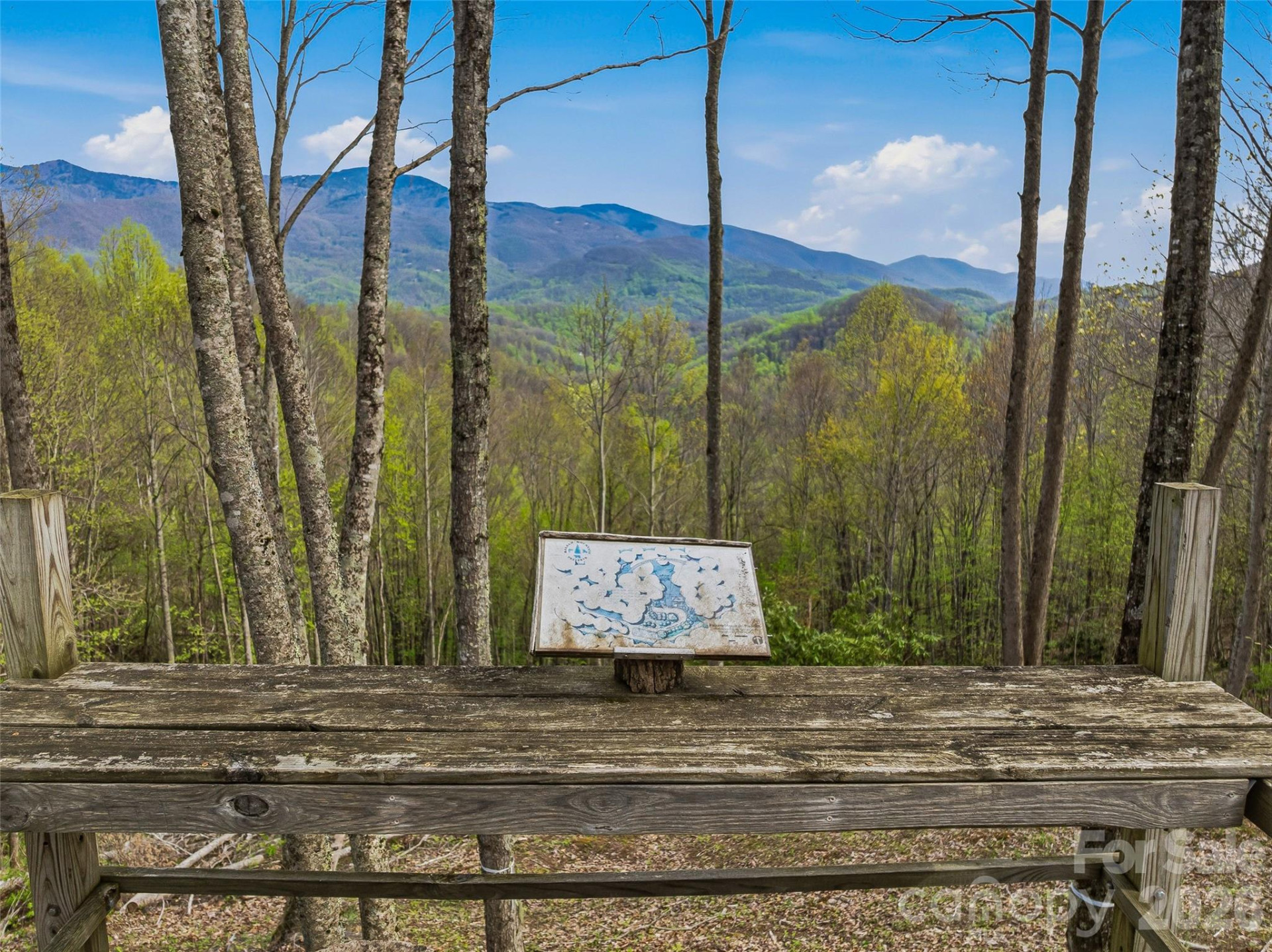 #227 Flying Dutchman Road - Photo 13