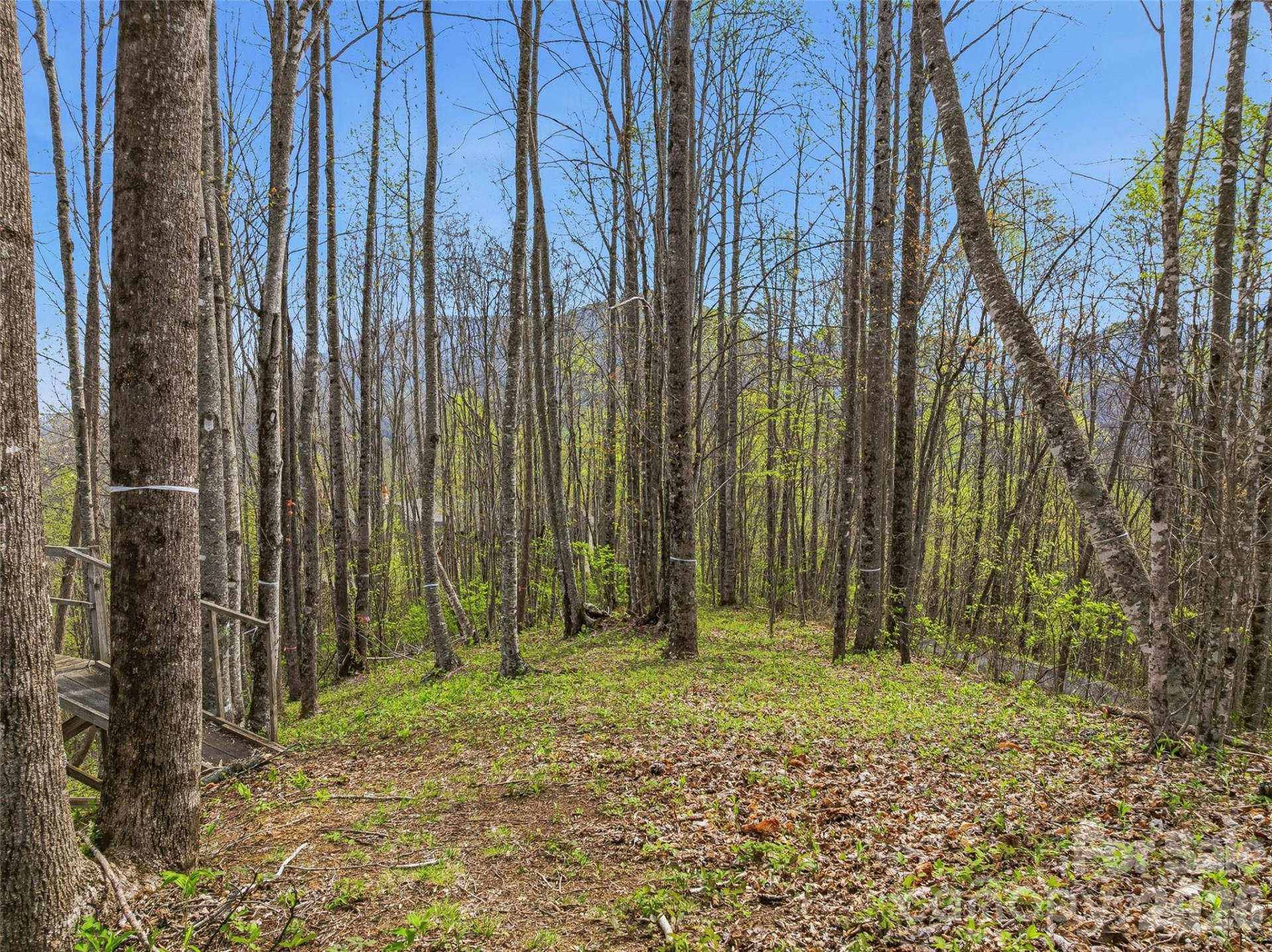 #227 Flying Dutchman Road - Photo 14