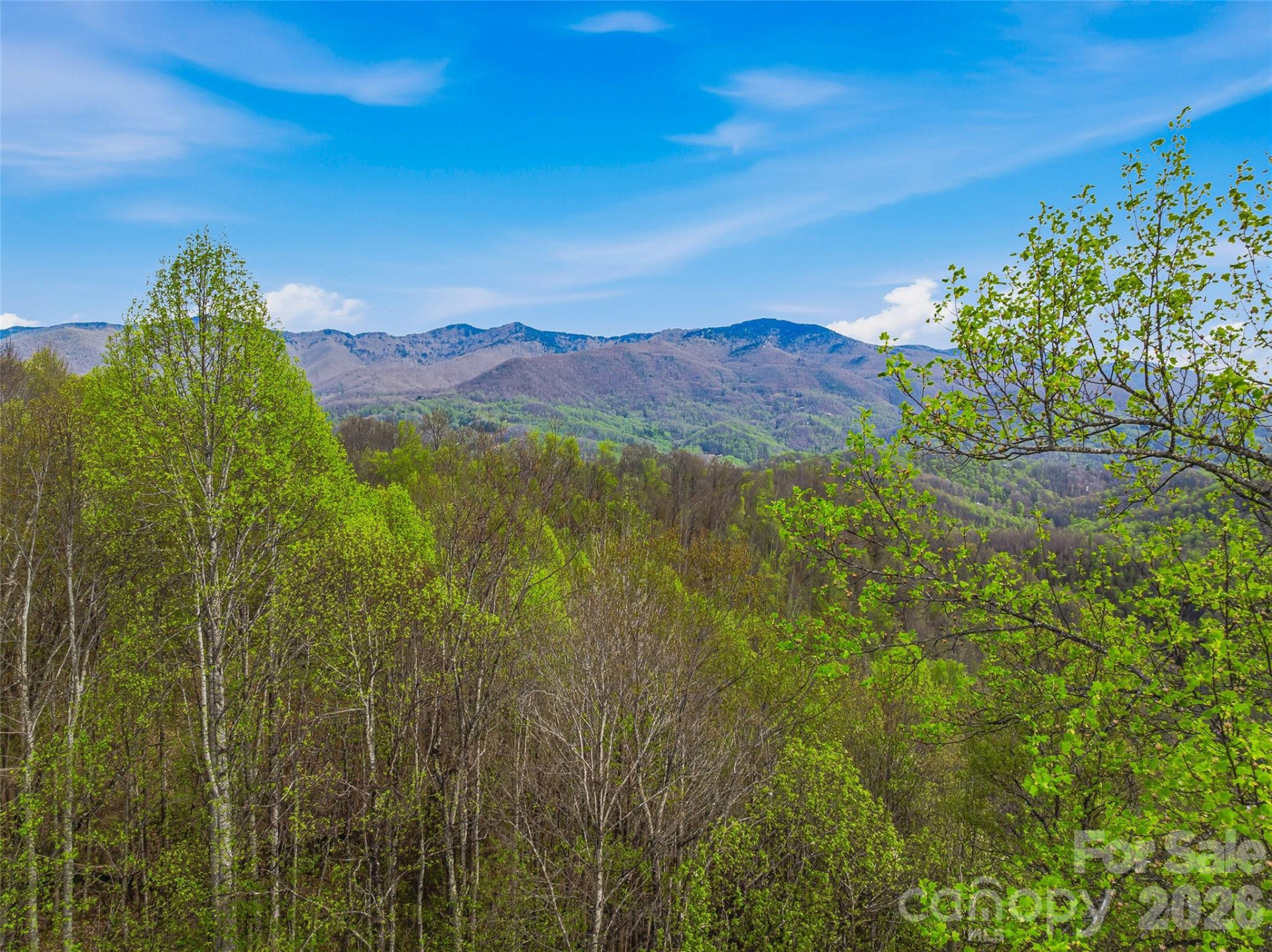 #227 Flying Dutchman Road - Photo 18