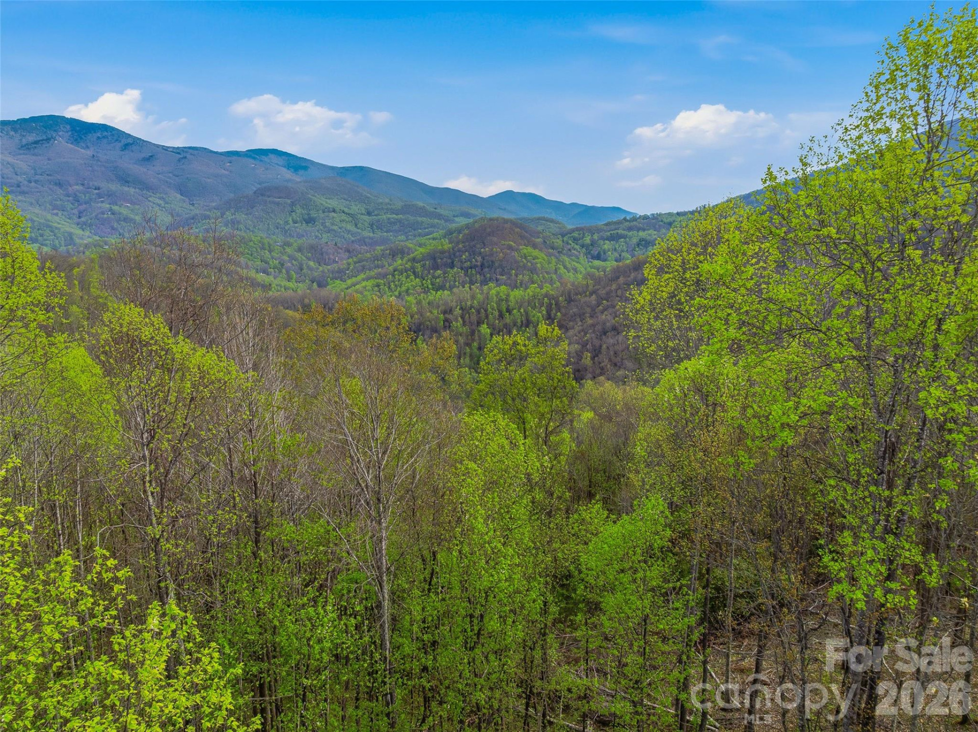 #227 Flying Dutchman Road - Photo 20