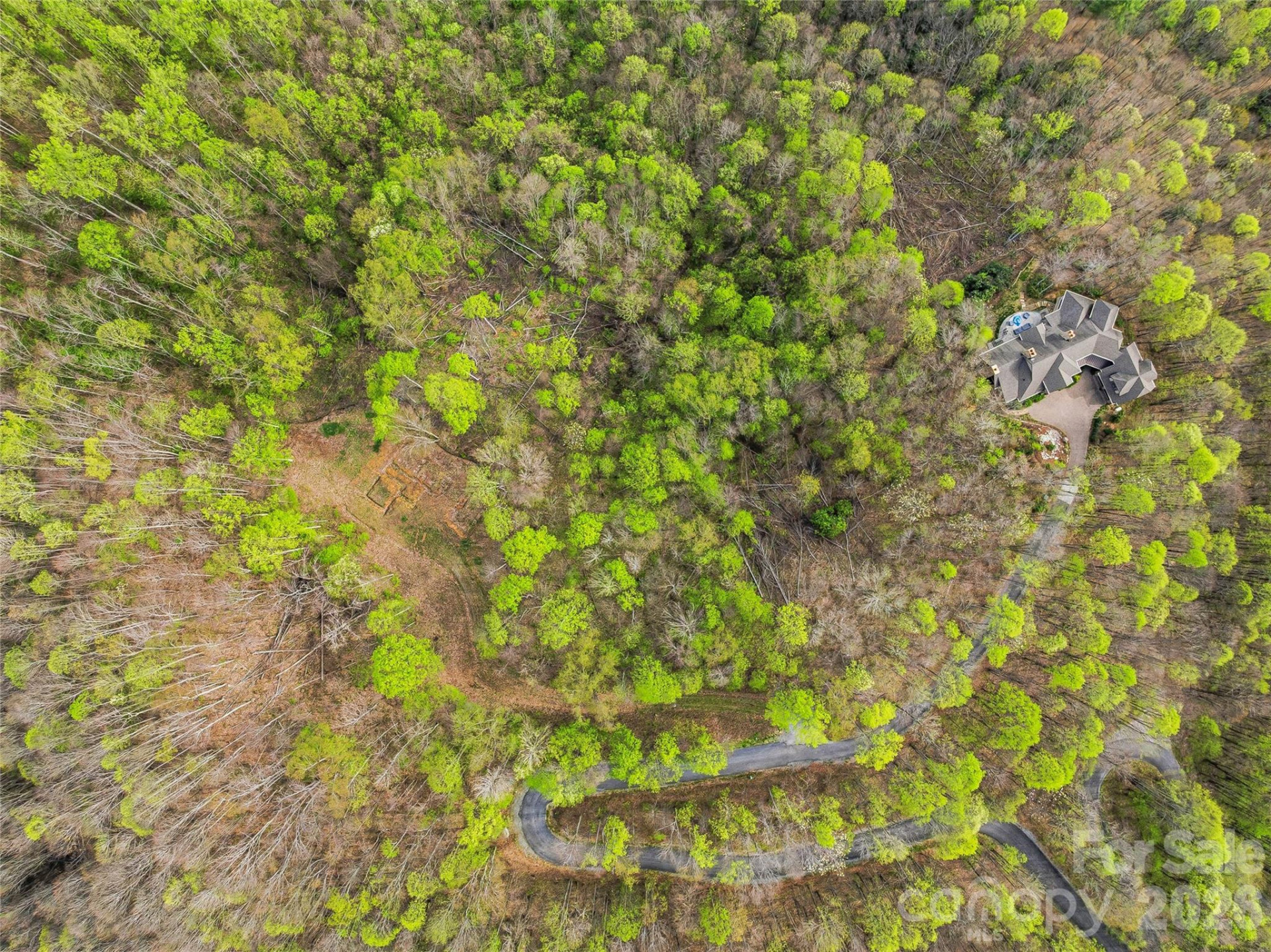 #227 Flying Dutchman Road - Photo 3