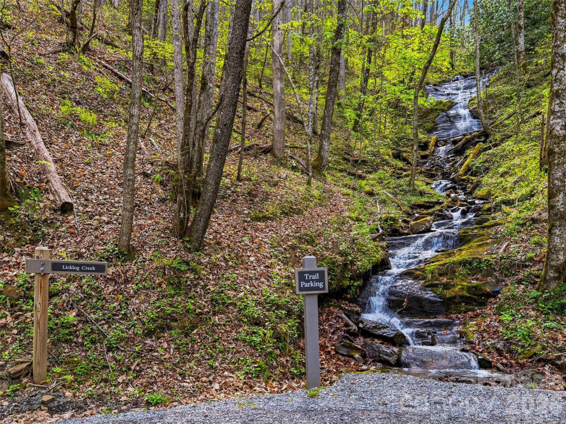 #227 Flying Dutchman Road - Photo 30