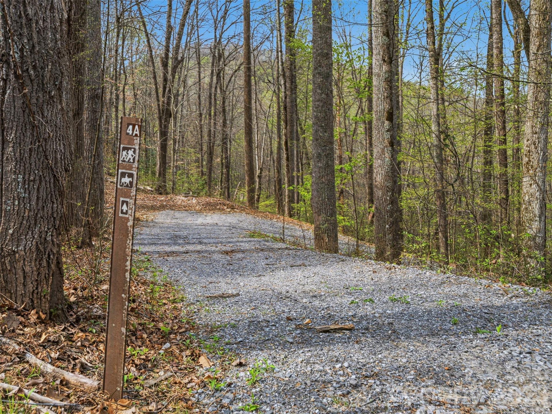 #227 Flying Dutchman Road - Photo 31