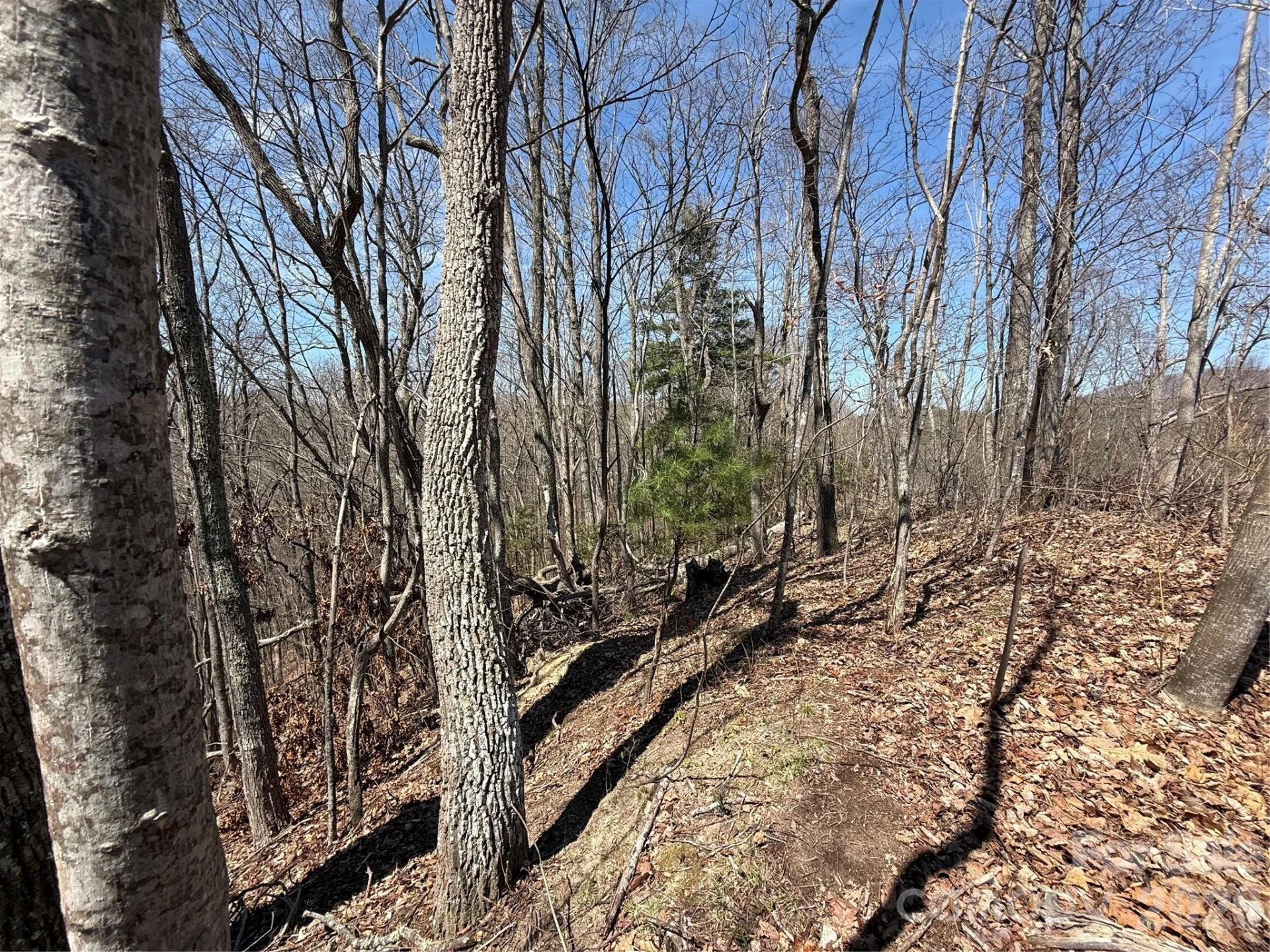 000 Granny Shepherd Road #Lot 3 - Photo 15