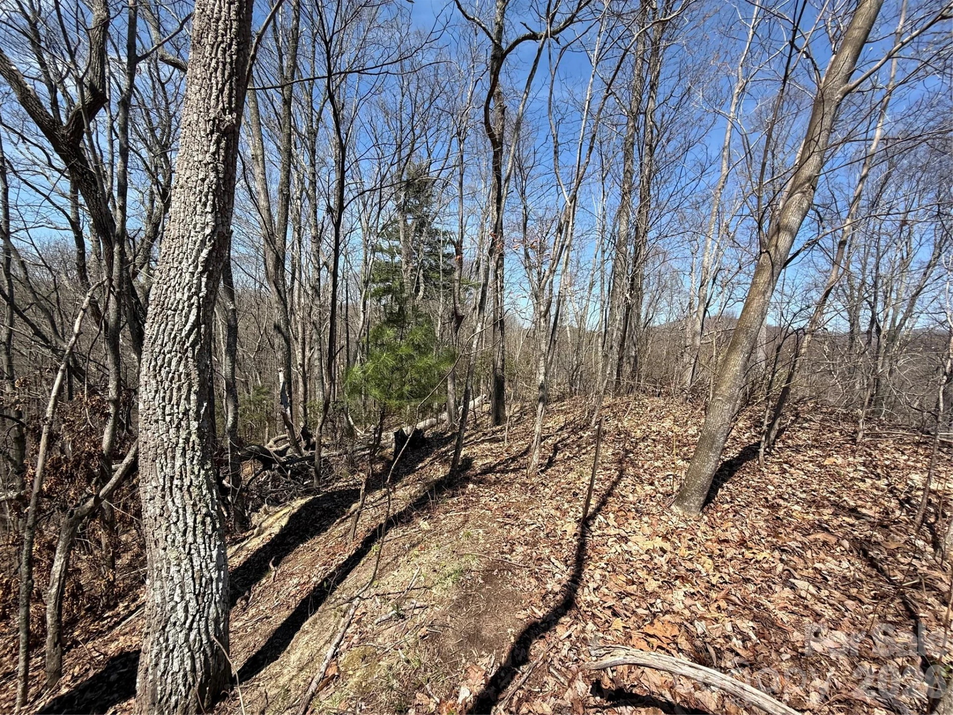 000 Granny Shepherd Road #Lot 3 - Photo 16