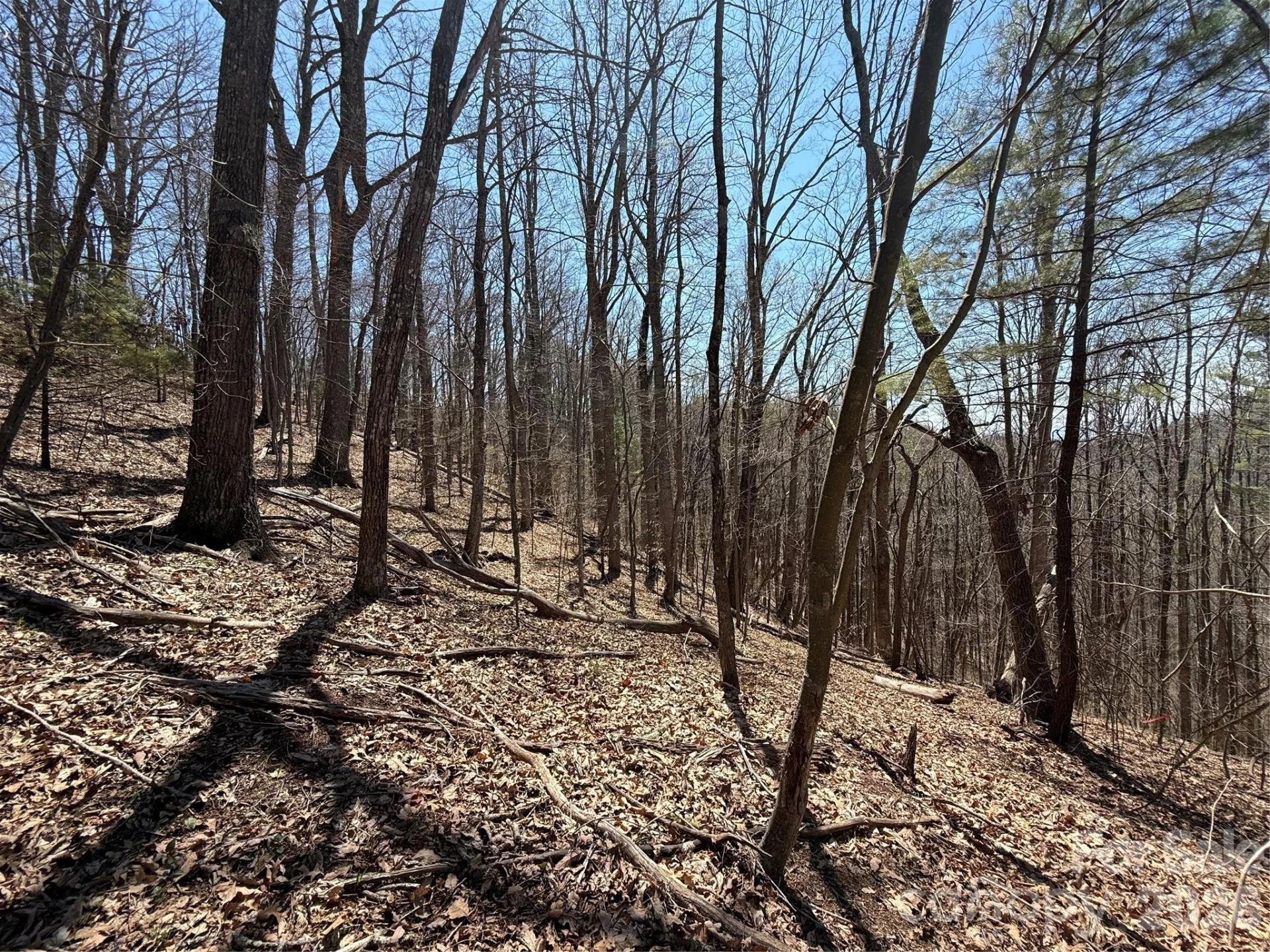 000 Granny Shepherd Road #Lot 3 - Photo 7