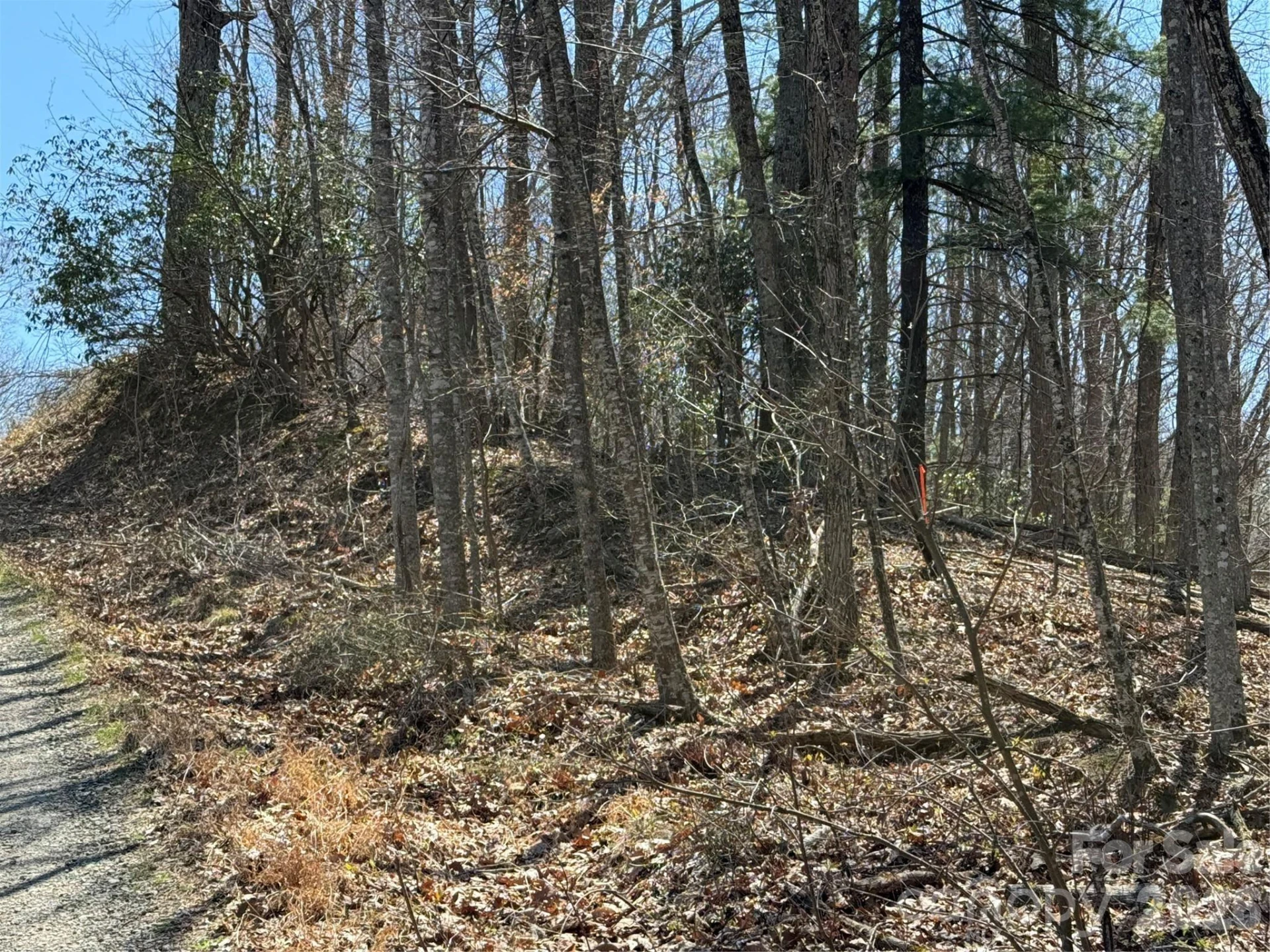 000 Granny Shepherd Road #Lot 3 - Photo 8