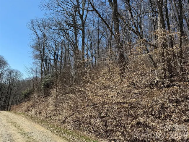 000 Granny Shepherd Road, Mars Hill, NC, 28754