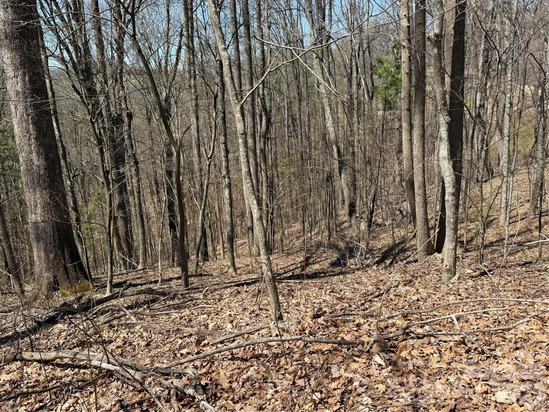 000 Granny Shepherd Road #lot 4 - Photo 12