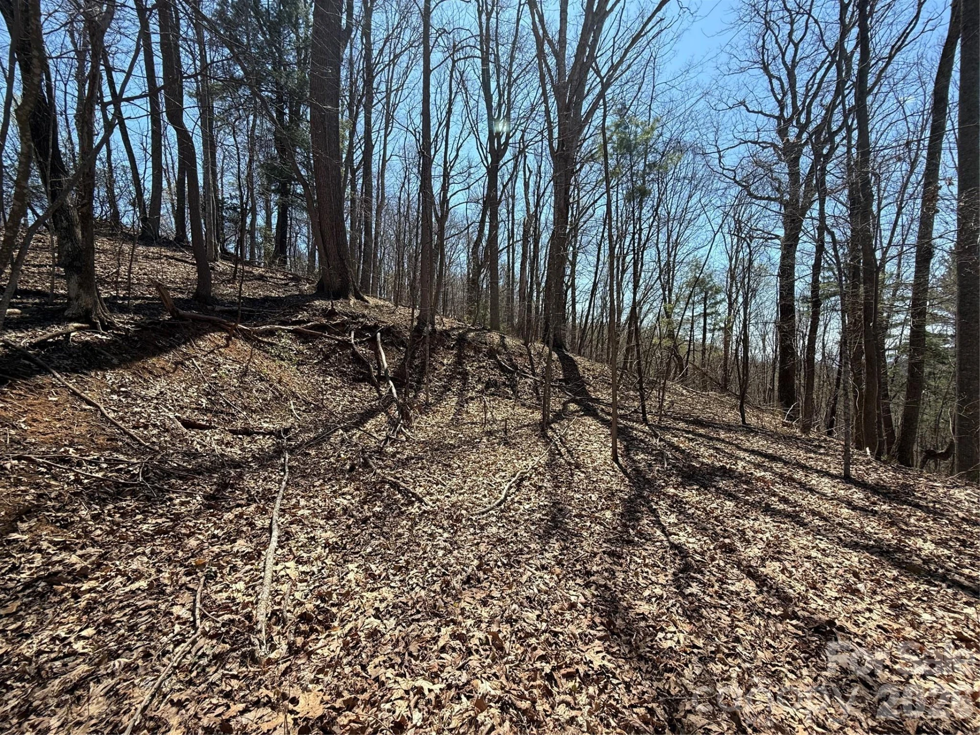 000 Granny Shepherd Road #lot 4 - Photo 4