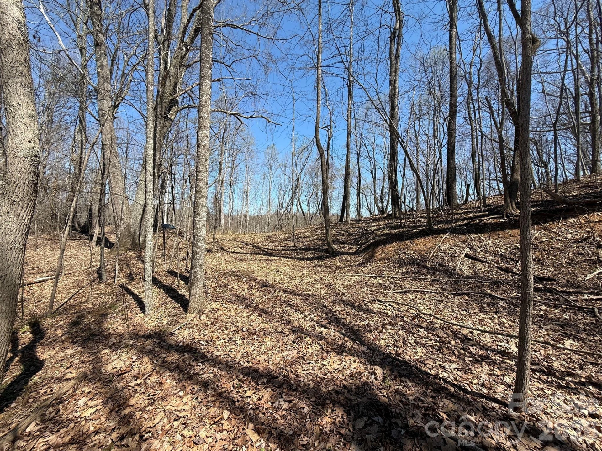 000 Granny Shepherd Road #lot 4 - Photo 5