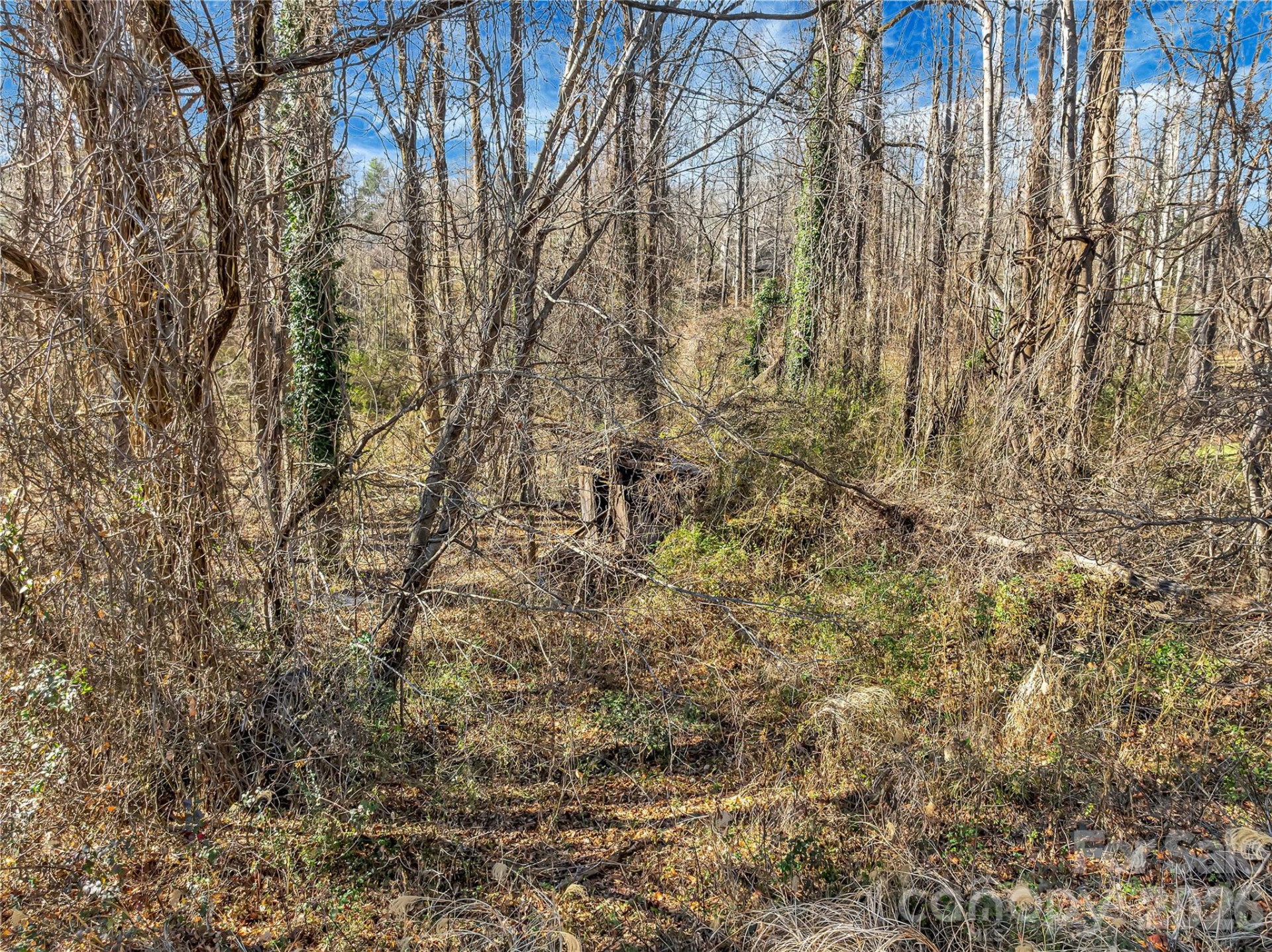 283 Ozone Drive - Photo 14