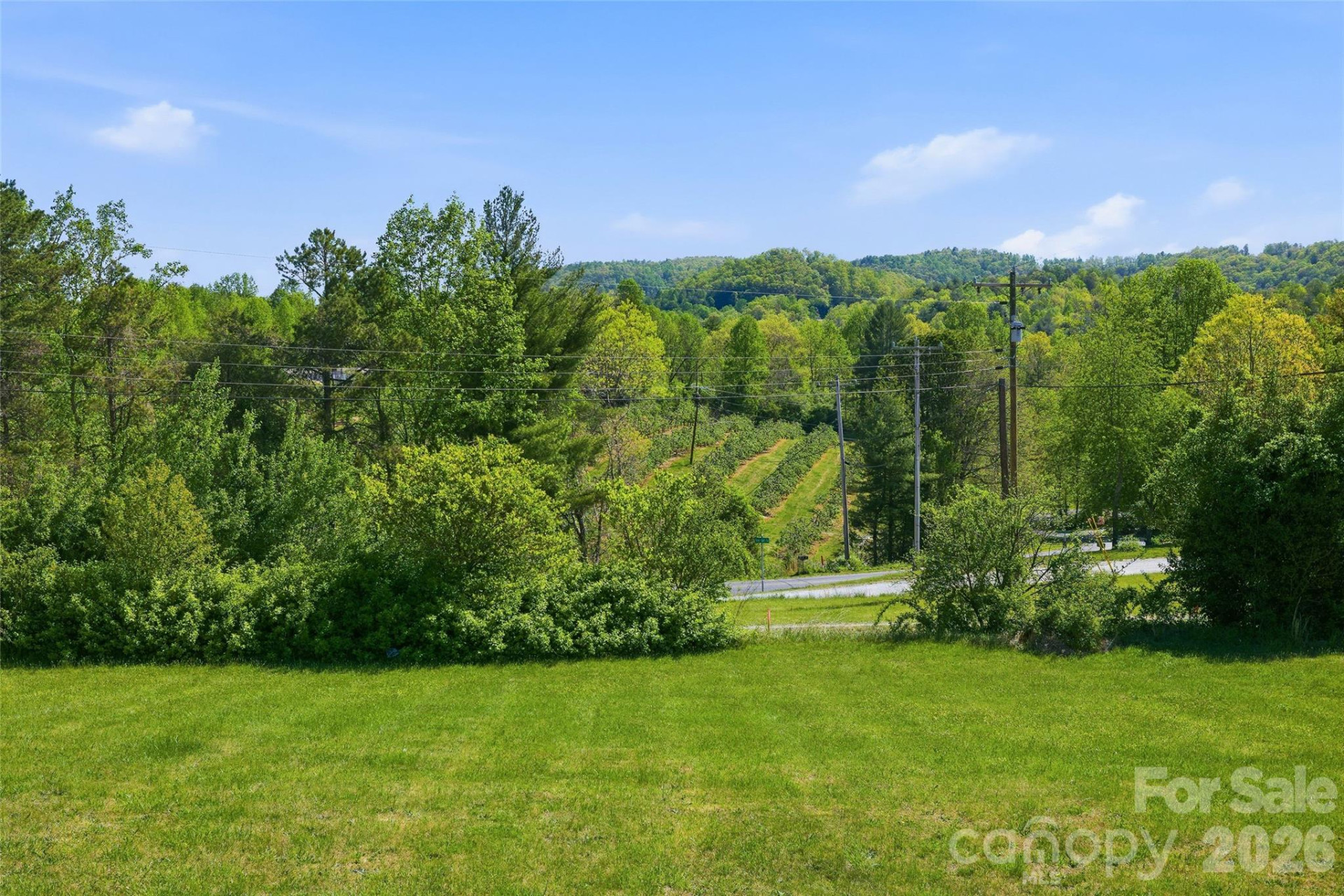 123 Big Oak Road - Photo 47