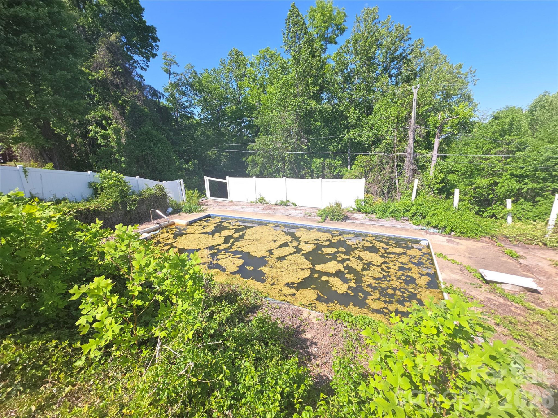 68 Nancy Tolley Street - Photo 7