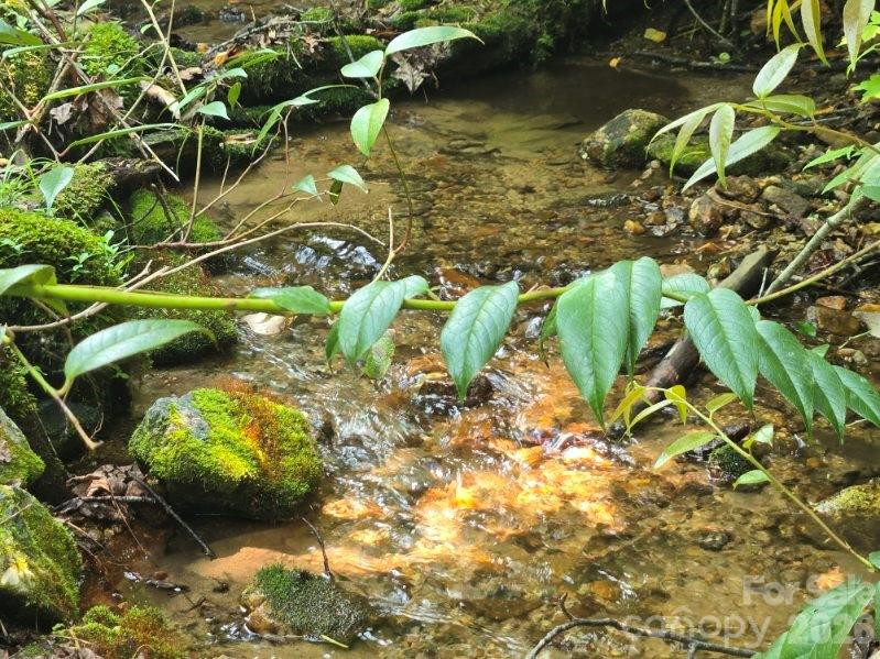 229 Hubbard Hollow Road - Photo 5