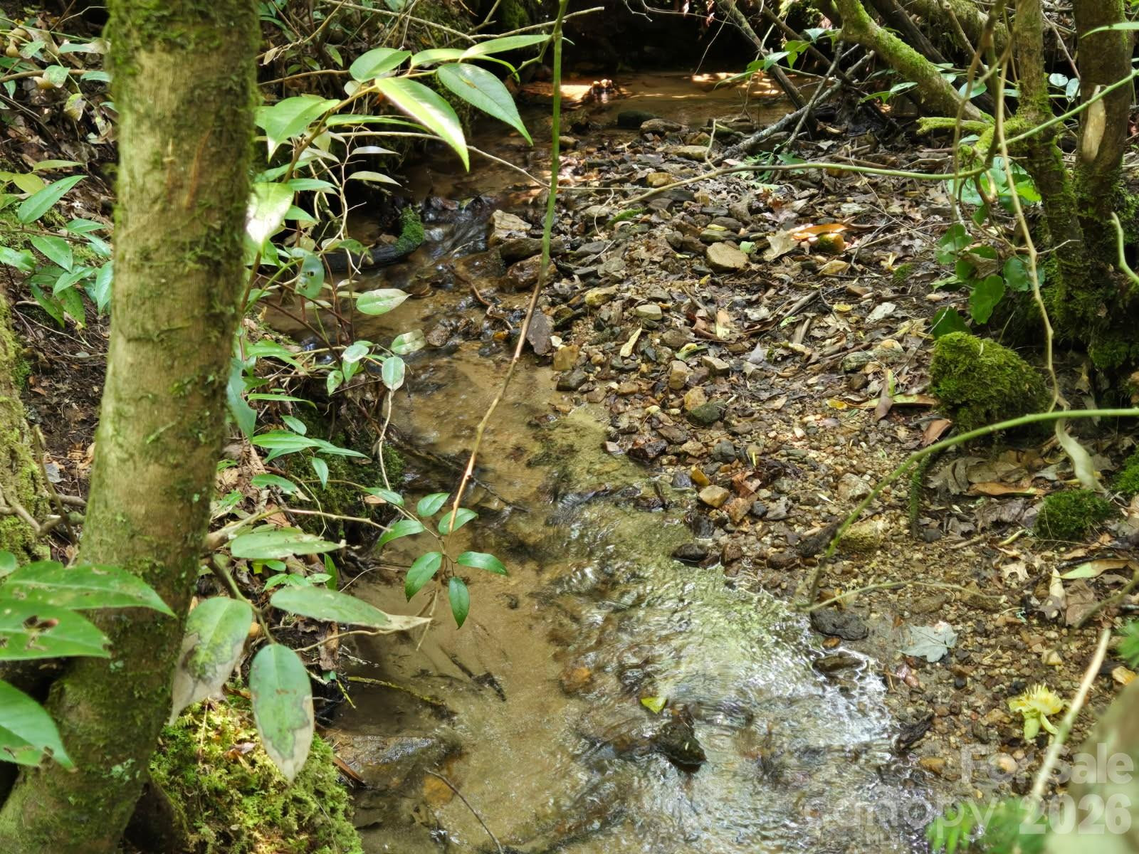 229 Hubbard Hollow Road - Photo 6