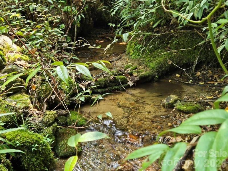 229 Hubbard Hollow Road - Photo 7