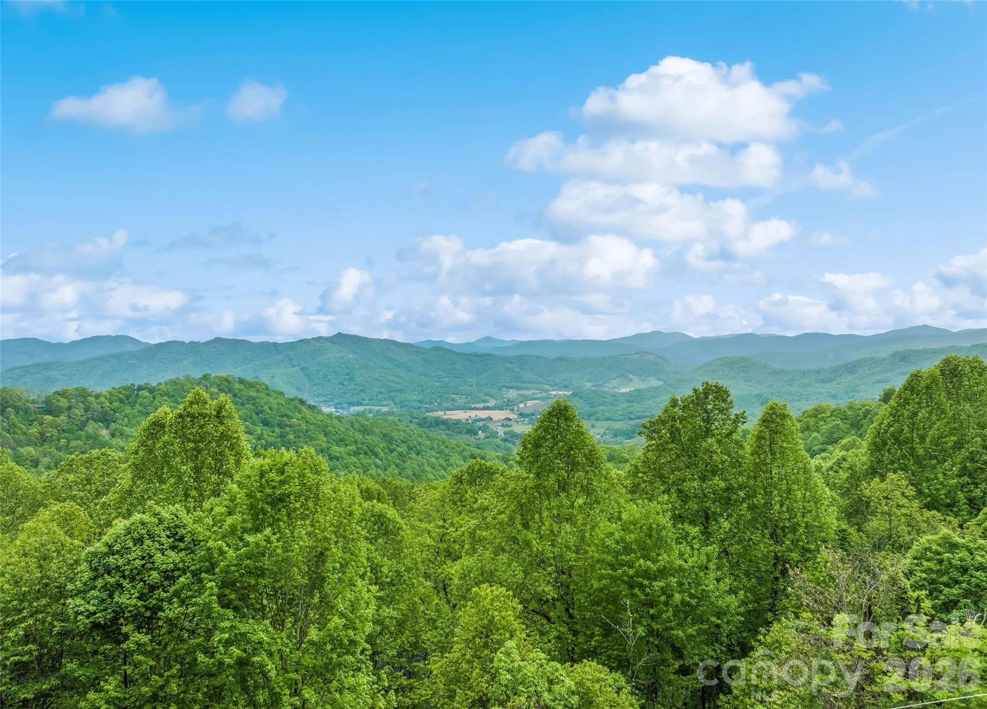 72 Tadpole Lane - Photo 4
