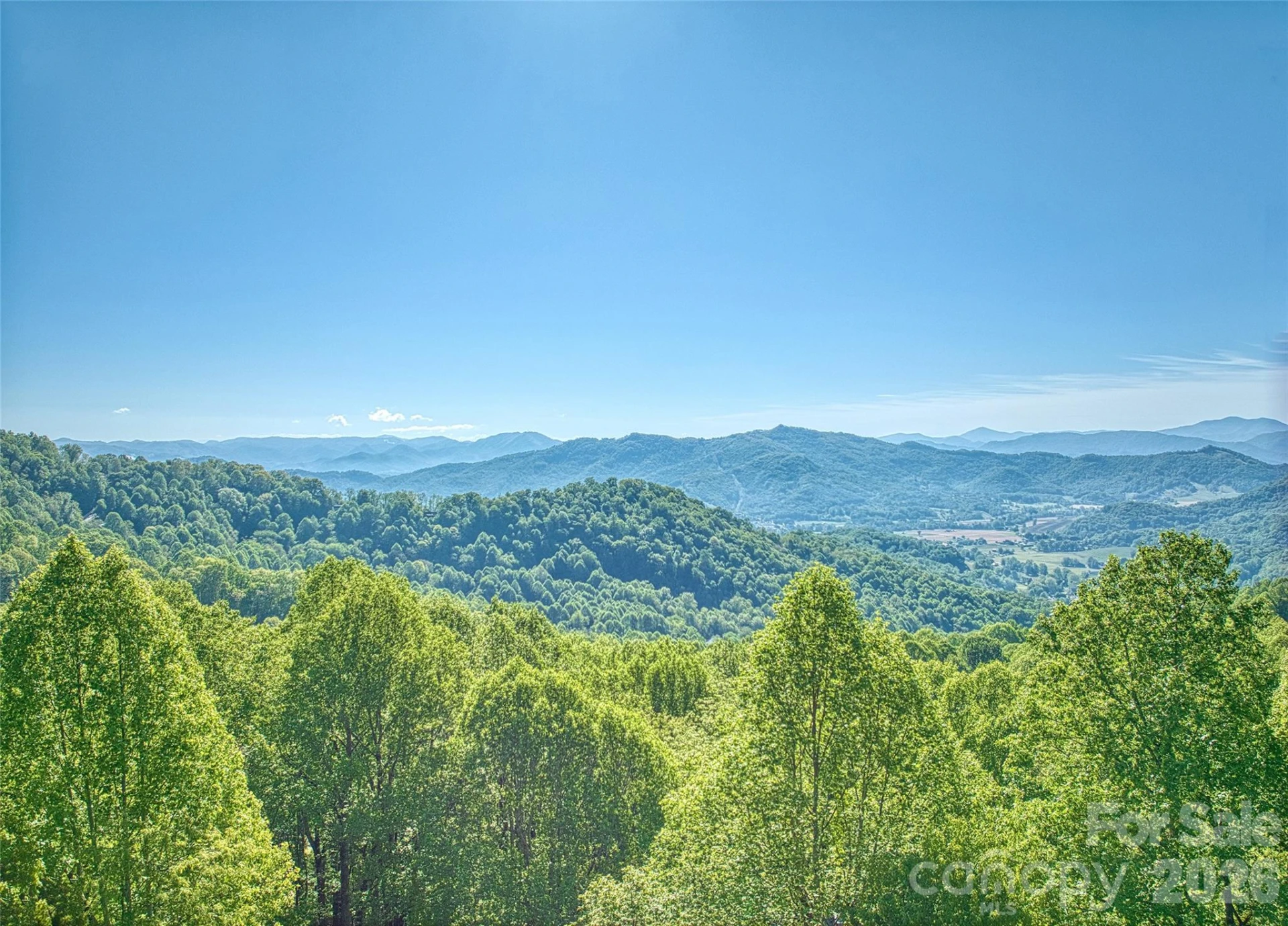 72 Tadpole Lane - Photo 39