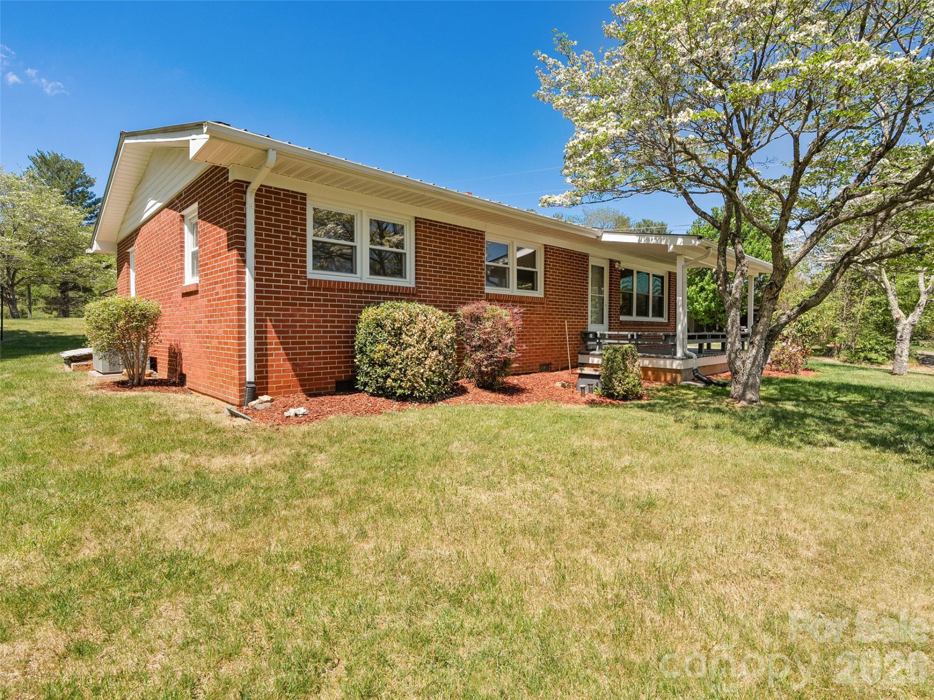 17 Farley Street - Photo 3