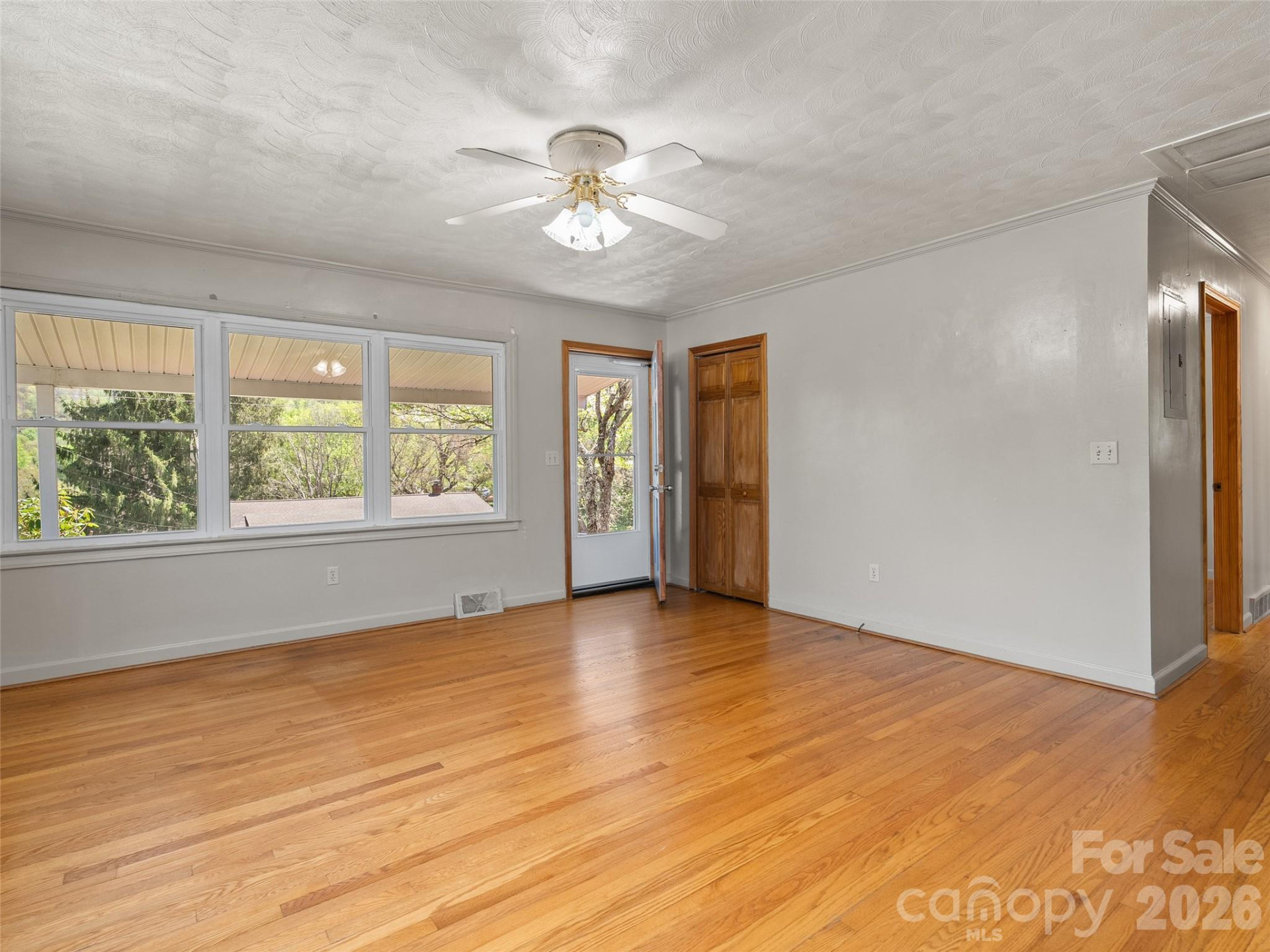 17 Farley Street - Photo 6