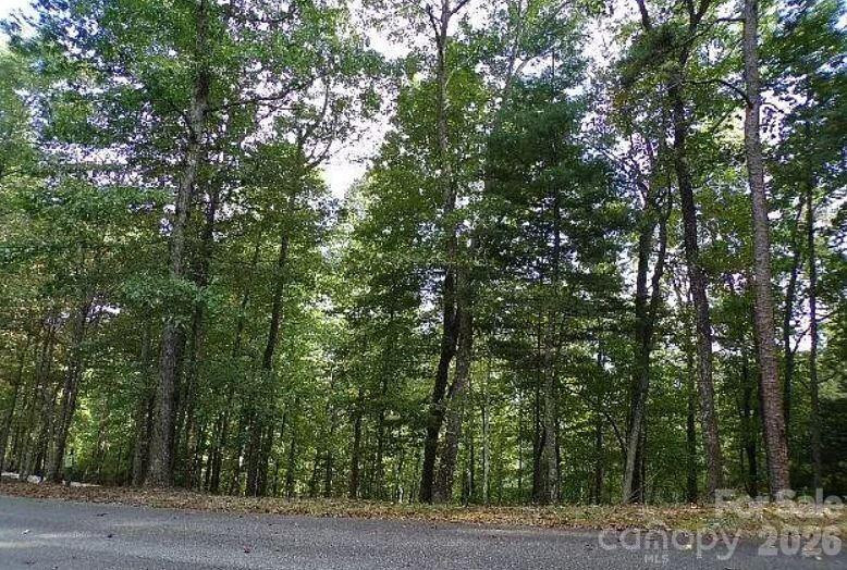 100 Black Bear Ridge Trail - Photo 2