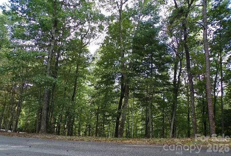 100 Black Bear Ridge Trail - Photo 2