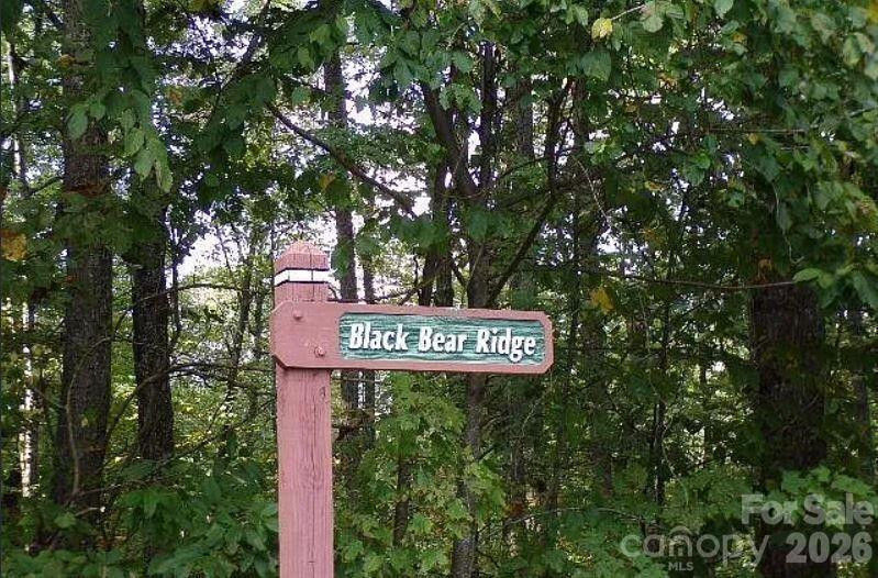 100 Black Bear Ridge Trail - Photo 3