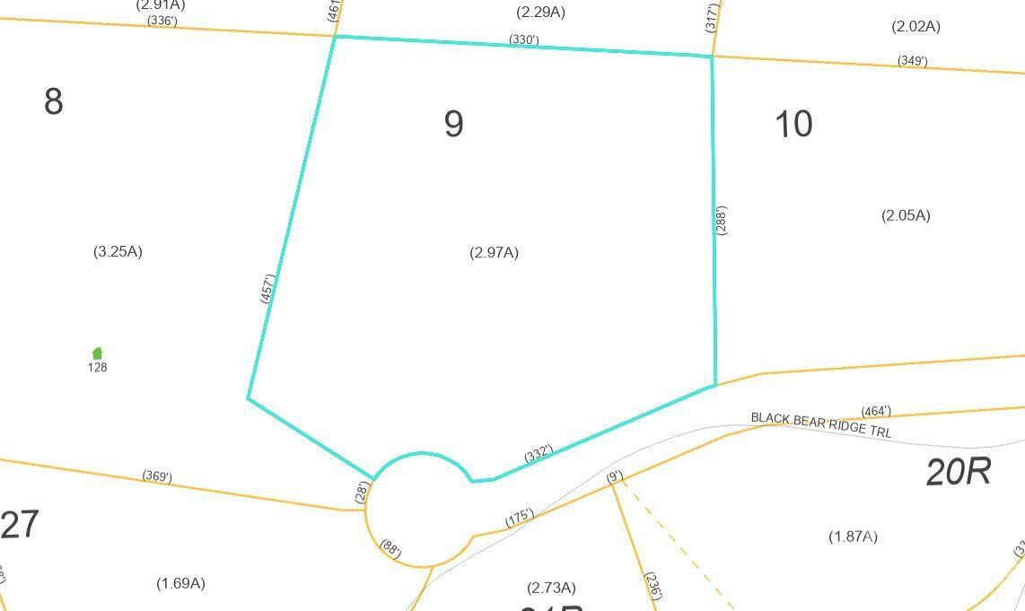 100 Black Bear Ridge Trail - Photo 6