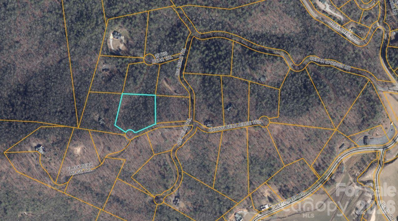 100 Black Bear Ridge Trail - Photo 7