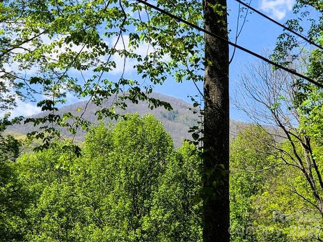 191 Forest Drive - Photo 5